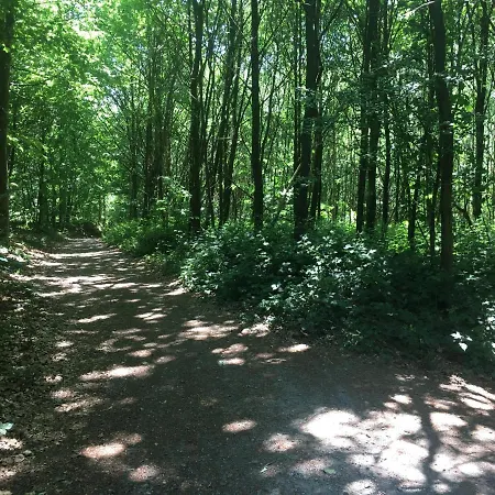 Le Logis Couette-café Lasne