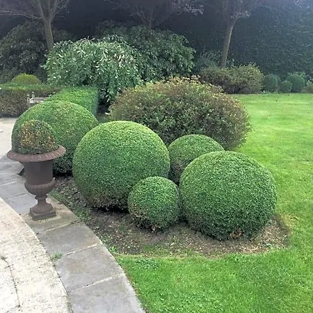 فندق مبيت وإفطار Le Logis