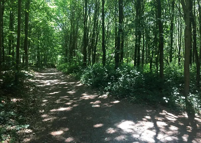 Le Logis Bed & Breakfast Lasne